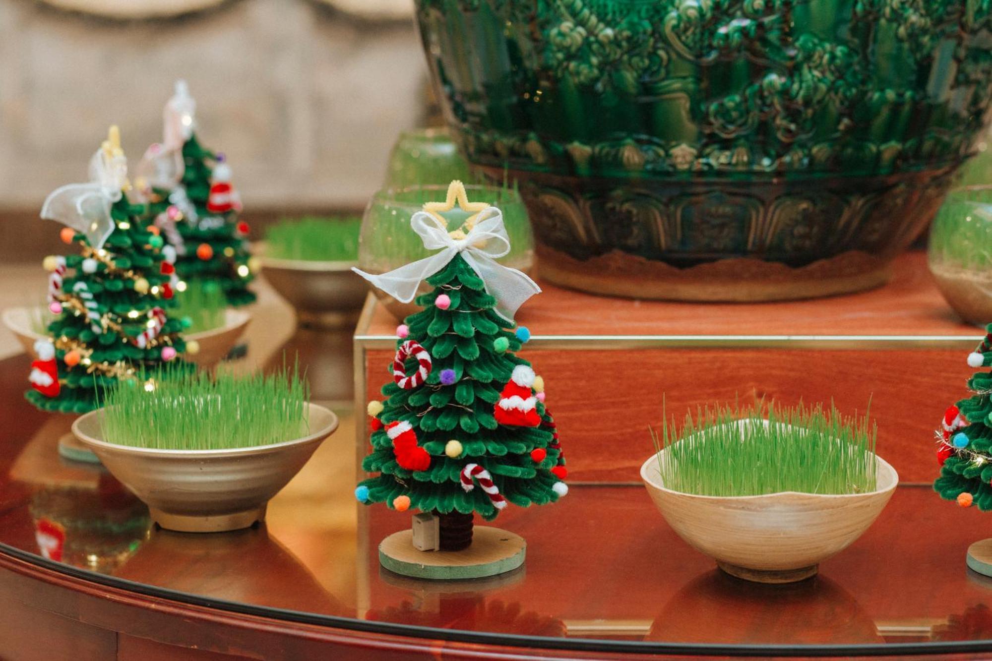 DLG Hotel Danang Luaran gambar Wheatgrass grown in a bowl